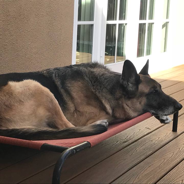 2be39cb3 4212 4e34 b334 0278b694e83e 1517355925861