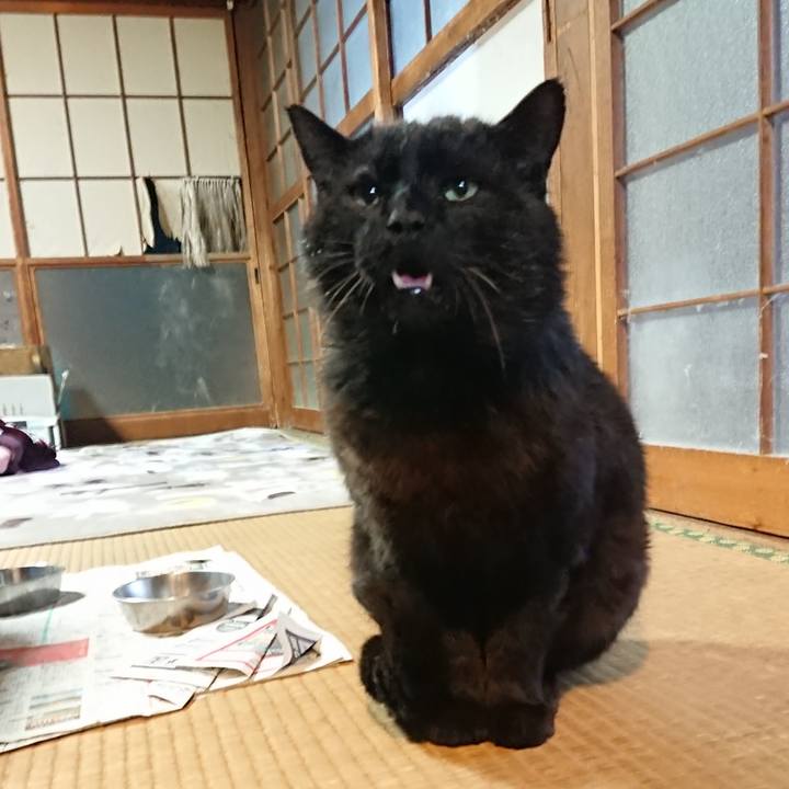 2be3b55b 0b93 4474 810d 8820893fdc69 1618736883578