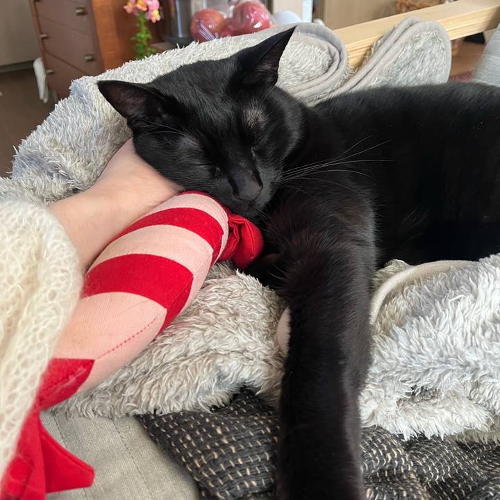 2be3bb42 f42b 4479 b70c c679d7751a32 1676711679864