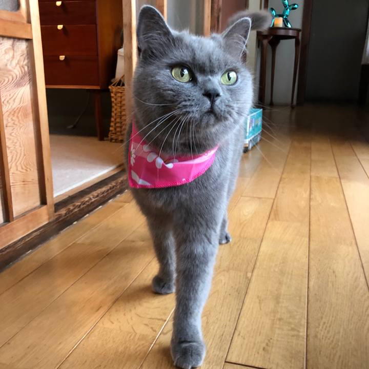 2be407bb 497c 4ce6 a286 094e78be725e 1594890688301