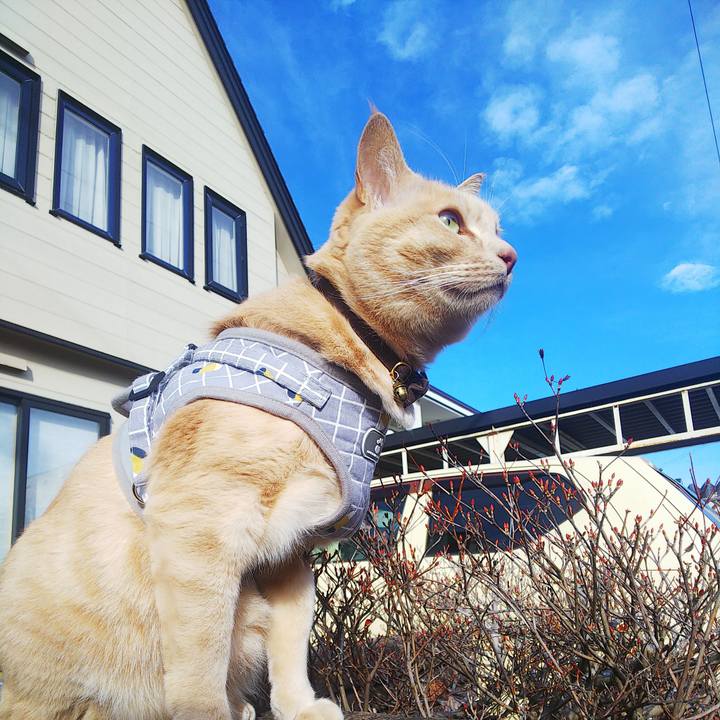 2be42062 e75d 4fb8 8ef8 525398e5e81a 1638933382953