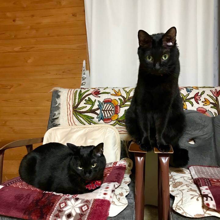 2be425e9 5a1d 4a34 a06a 2fc93cc8b205 1543497451604