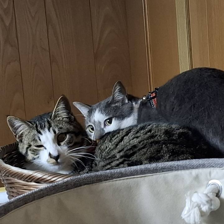 2be42ffb 46c4 455c 93fc 2307eaf72a0d 1738428968369