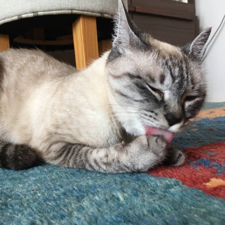 2be46e9e 68c5 4a2c 933c e94b19bae924 1589330437447