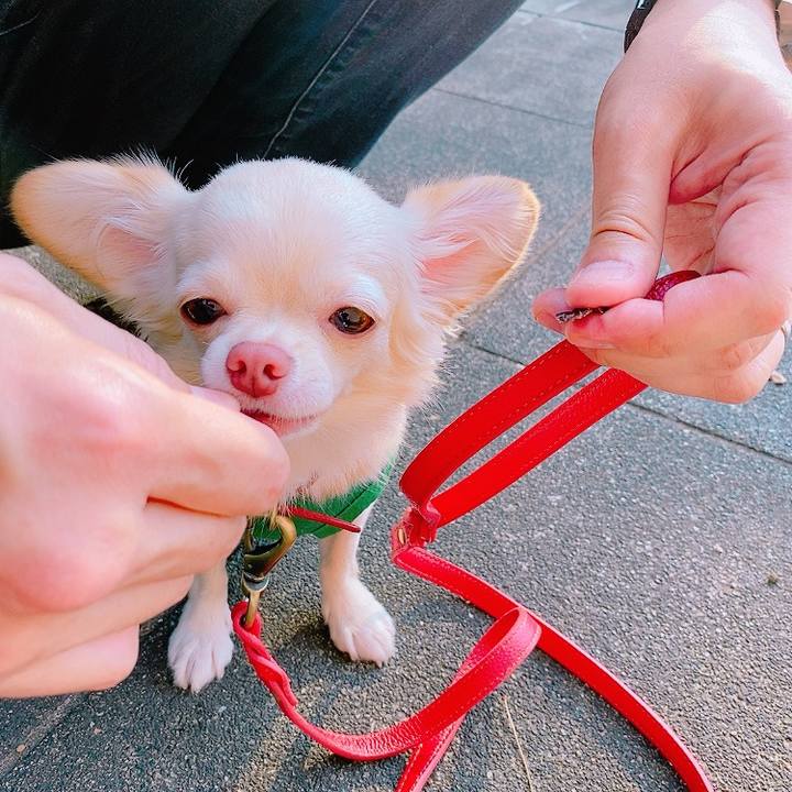 2be47cb3 234c 4b0d a8f0 f1eb2d0fbca4 1631707601568