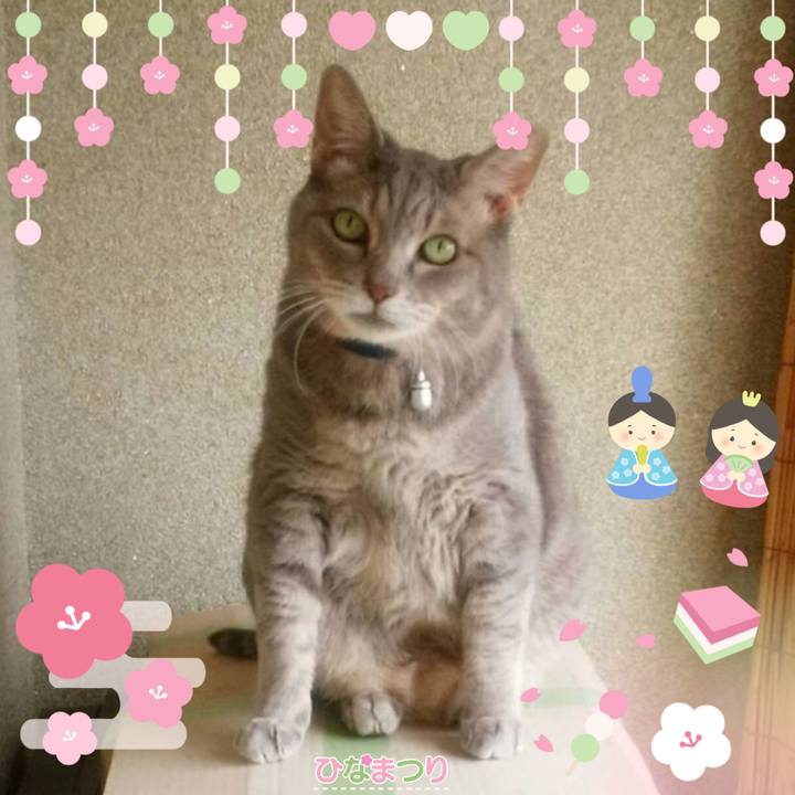 2be49788 df2c 4536 b378 cb6999839998 1646290463420