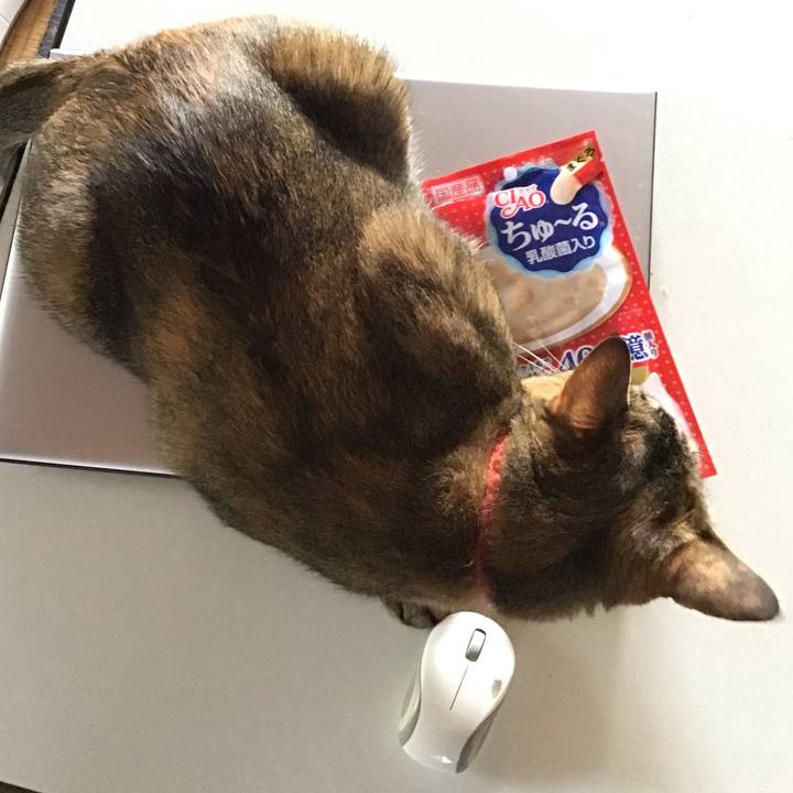 2be49b71 c788 4c97 ac43 0151f0eb144d 1629970767912