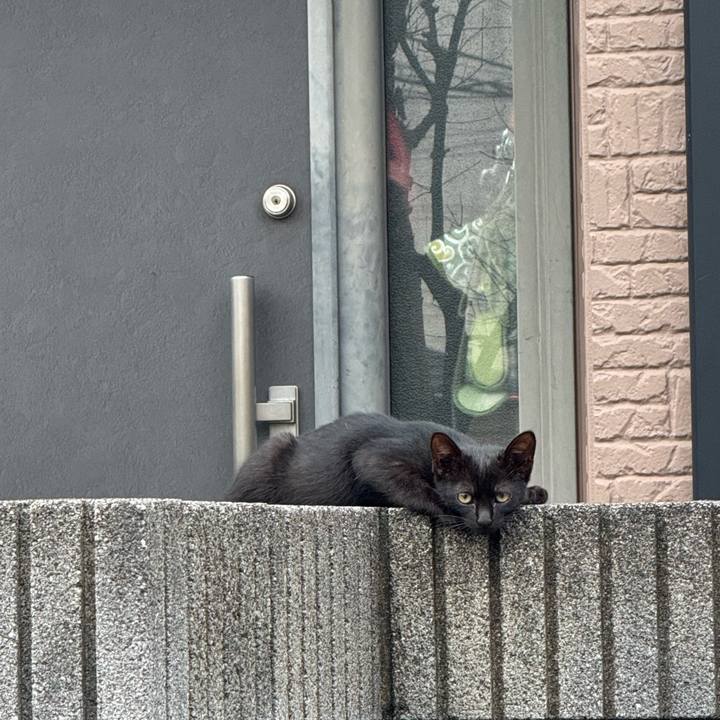 2be4b027 4247 4a6c 9c43 72d9ddf114c0 1754268819907