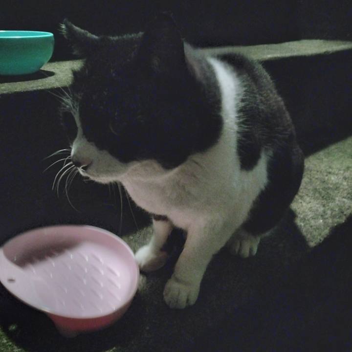 2be4bc04 5bfd 47fb b0e2 4feff68a2980 1705878857386