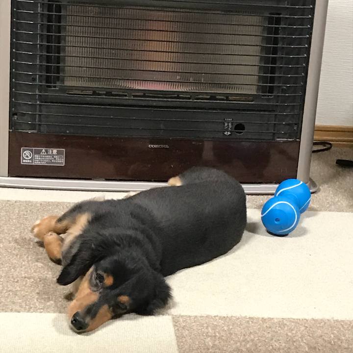 2be4d27a b6b8 4759 8546 f9ebe1967905 1508627154268