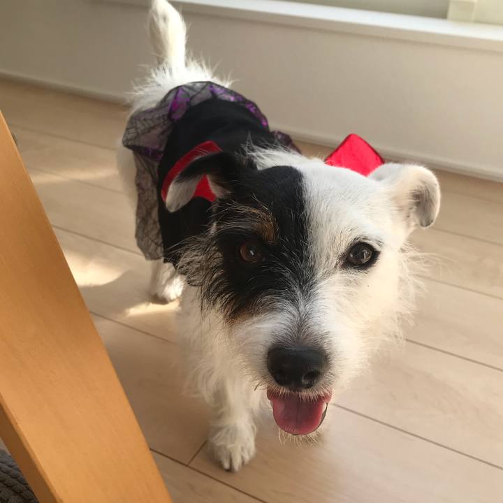 2be4d720 c589 4cef 8f5a 20f0621561df 1537766615700