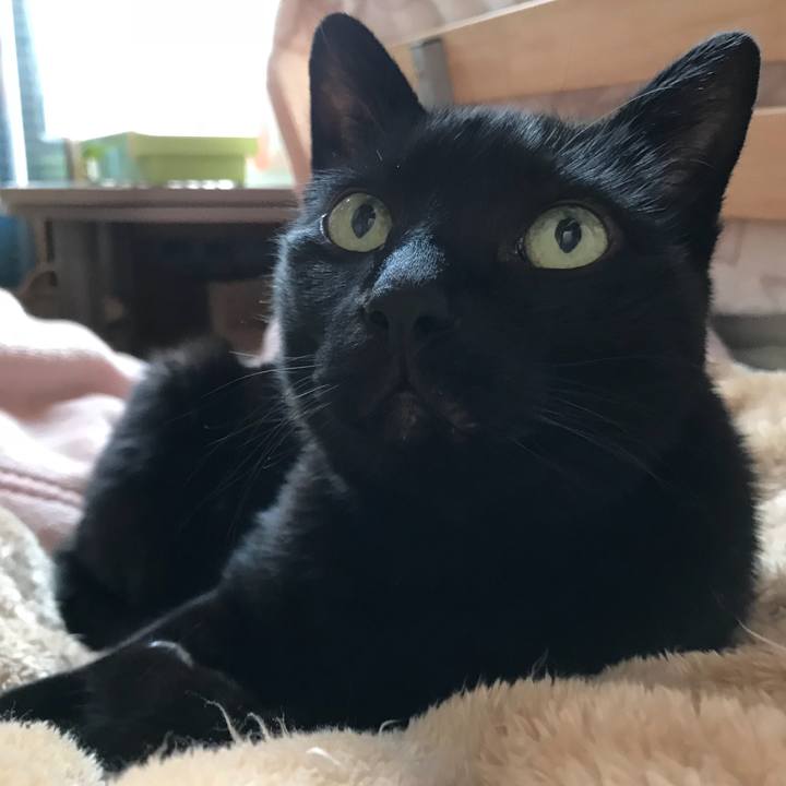 2be4fa7c 78c4 43d3 862d 55f5784dce7d 1524015286593