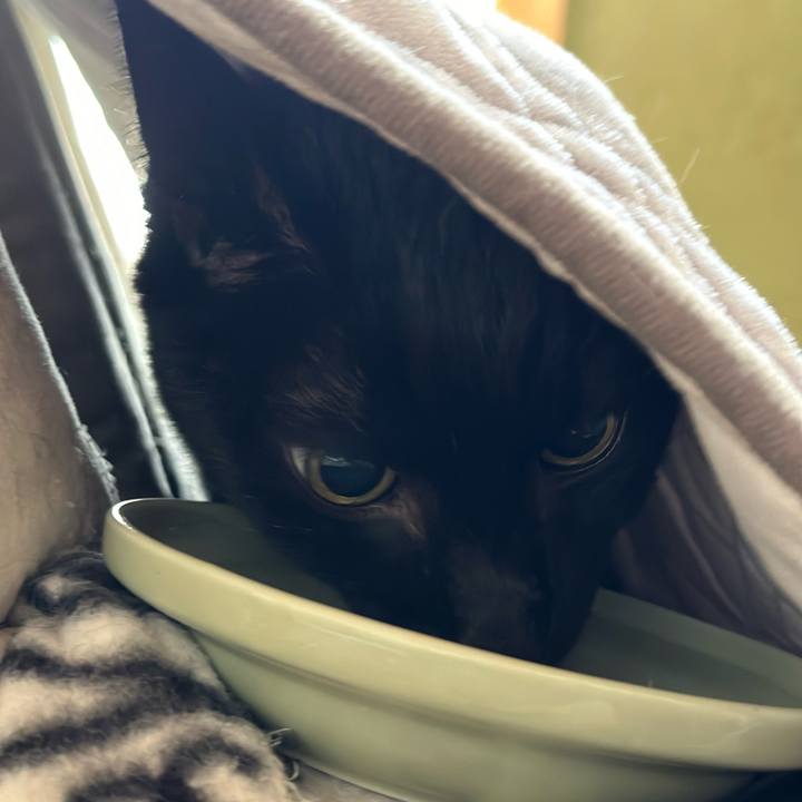 2be510ec a4c0 4d38 a727 c353b9160d66 1707704541443