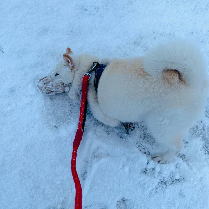 2be57a24 fe0f 4e7c ab23 37692291c2b8 1648762728533