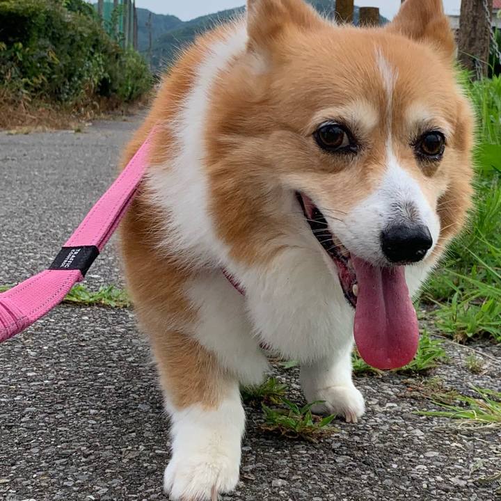 2be59355 464b 4708 afbd 062fb20434b7 1720564155813