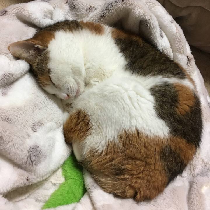 2be5cd54 1b08 44ec 9d16 64701e1d42ef 1613723926115