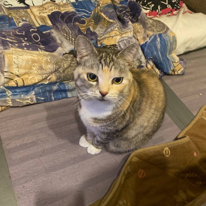 2be5e0d0 bbe3 4b97 9ab3 5dec4b86e3a0 1669562425088