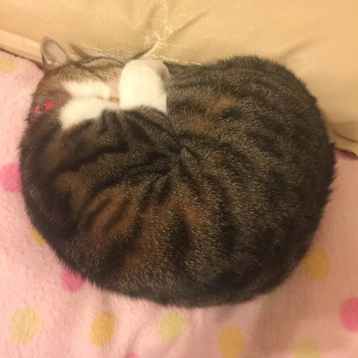 2be5e501 4844 4194 af19 7095af8bd4fd 1549049270559