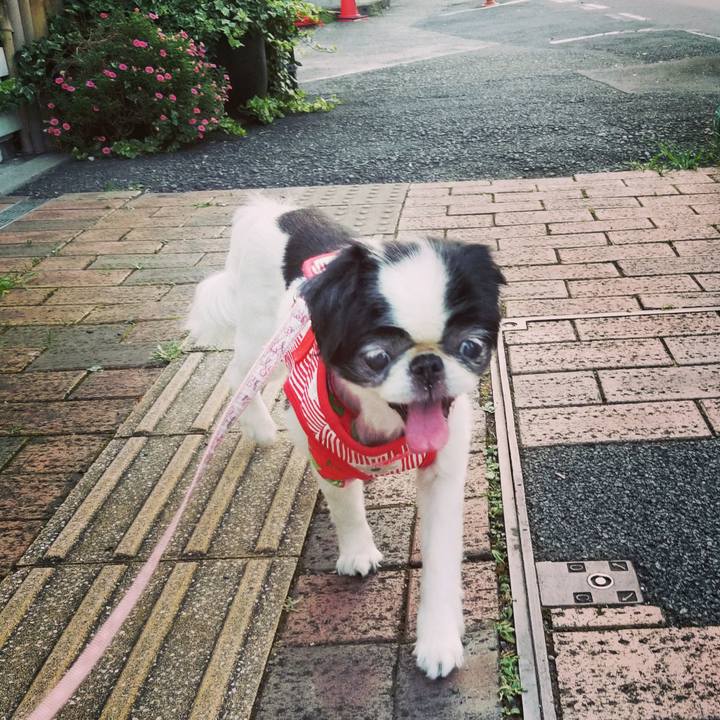 2be5eb2f aaf4 4496 b168 418da4120538 1566123166063