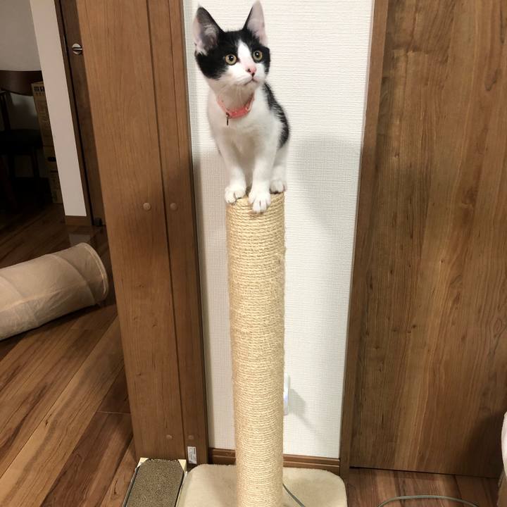 2be5f244 c4bf 4a0d 9b8c 1cb0309389d8 1612099100162