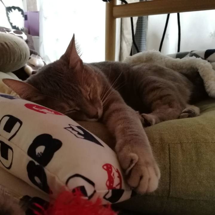 2be5fe8d b92e 40e6 9771 04bac3d701e9 1553869201517