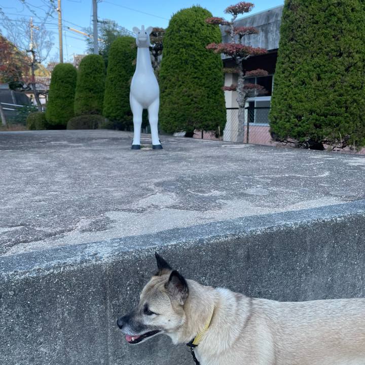 2be6383c ea6f 46d3 9c45 bb5a3e779bf4 1699015450783