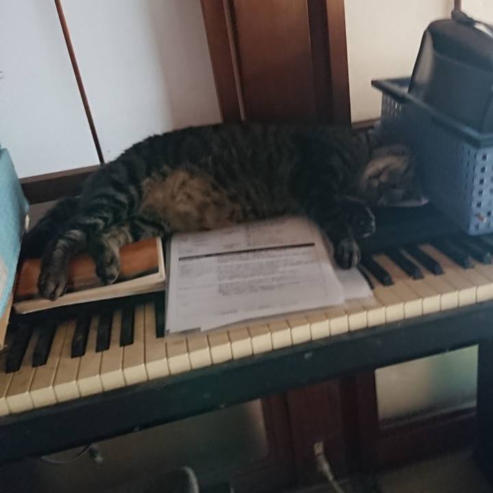 2be6a102 cdb4 4c90 bd9a 38745dcbe362 1661241786808