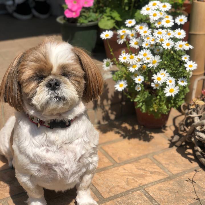 2be6b7dd be05 41b4 8fa9 e2ea0f3677d7 1524274347668