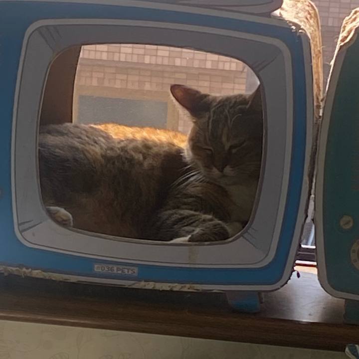 2be6c67f 8f05 4cfa b5a4 e3fdfcd664c7 1694307938598