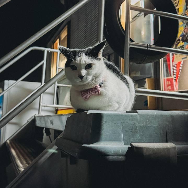 2be6de77 0bec 406a 9ab6 e8664dde6d52 1763197717651