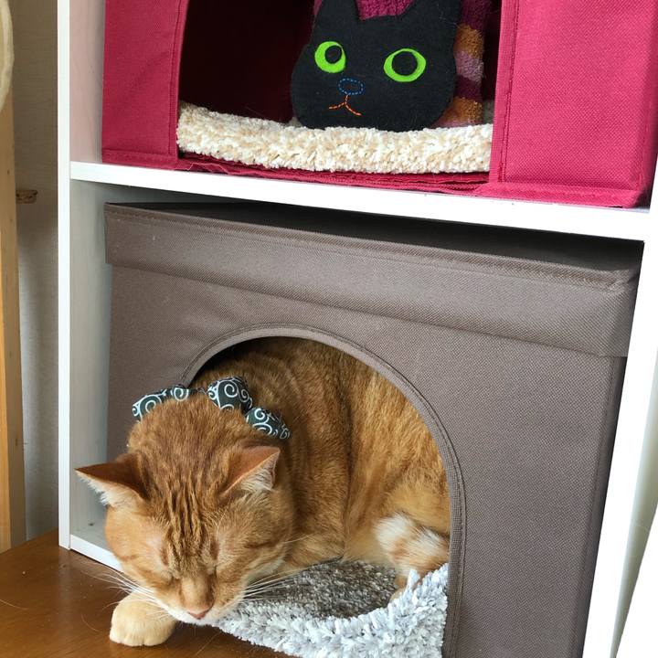 2be73d95 cd3f 4ff6 bcbe 394f546196f7 1588404627887