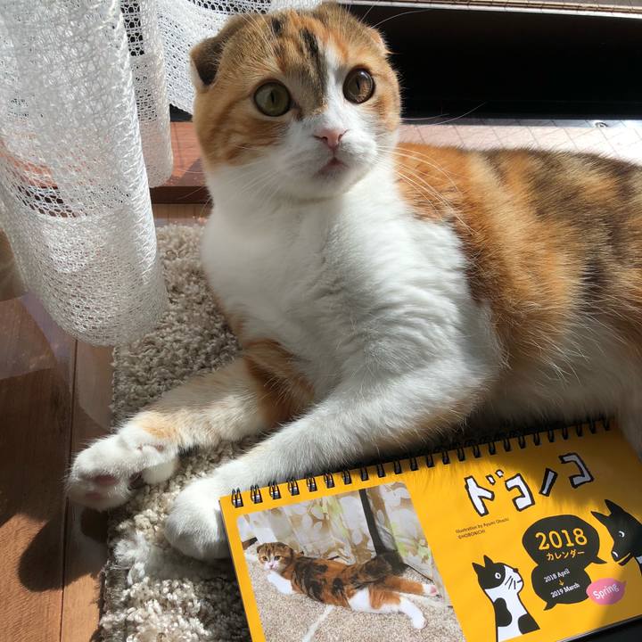 2be79e45 91f2 4eb8 8c98 d3f591a494b4 1520745805559