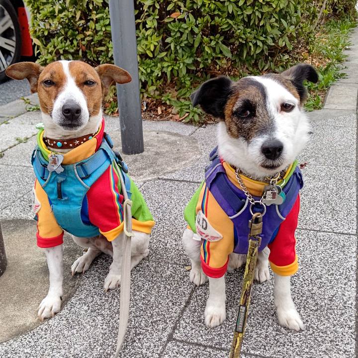 2be7a5f9 2b21 4a7a a181 ccf895b2b50b 1647383095852