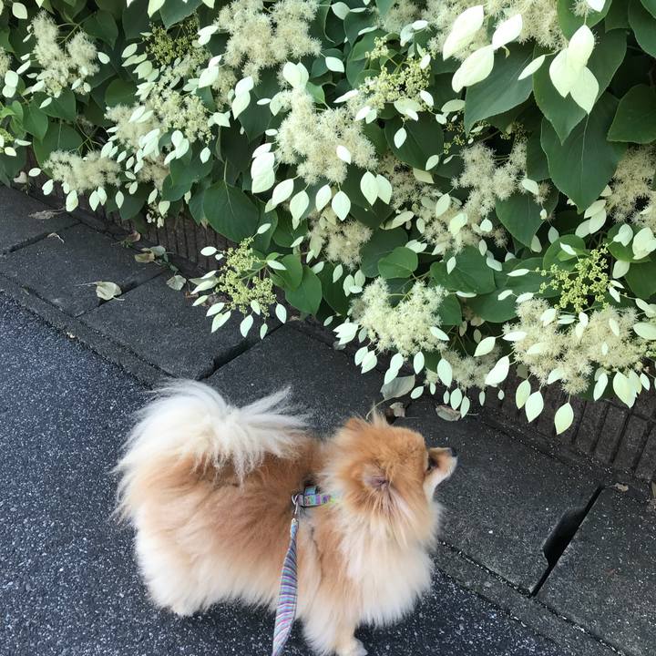 2be7bbad 65fb 4891 8191 534cdb1c795b 1527803849184