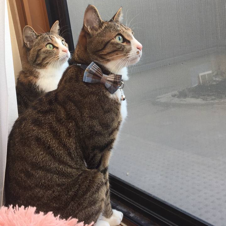 2be809b7 5884 4979 9dd3 0e571811d277 1701843617251