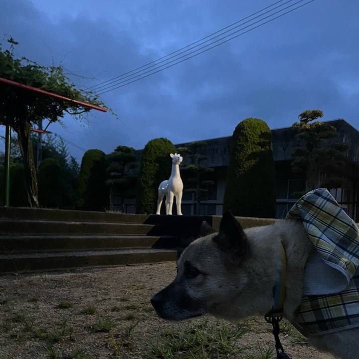 2be8116d c0d4 47e6 9154 bf8c699608d2 1693488132259