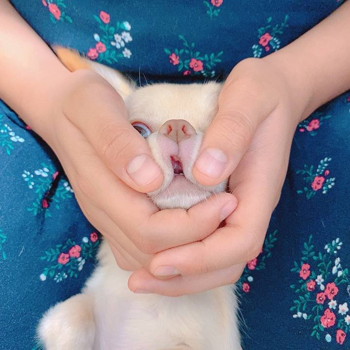 2be82e9f 54fa 4196 9928 e6a44e23355c 1595298328462