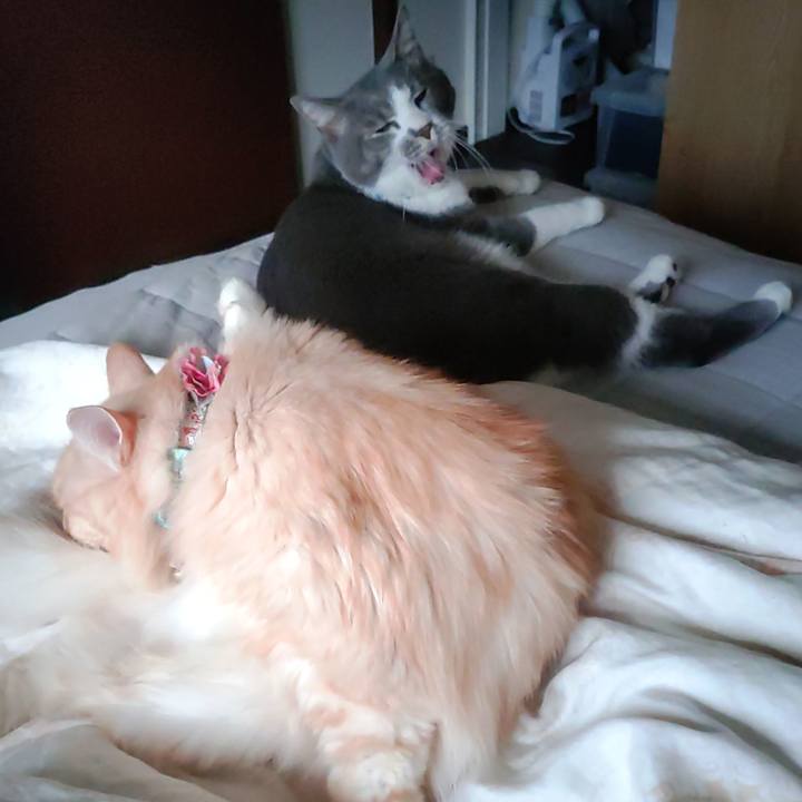 2be86c97 dbd1 44af b3b9 ae6a5bc657ae 1664937494262