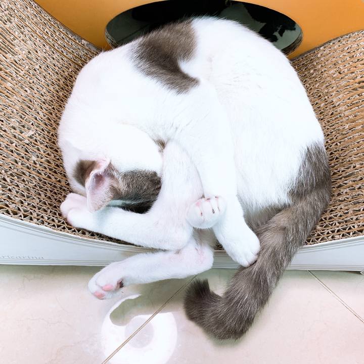 2be87716 5e3b 4a07 ad05 19a008e17e40 1575196101138