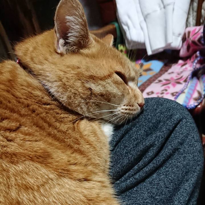 2be87c1c 9e91 43ee 9c44 c8597cbcf19c 1576702664310