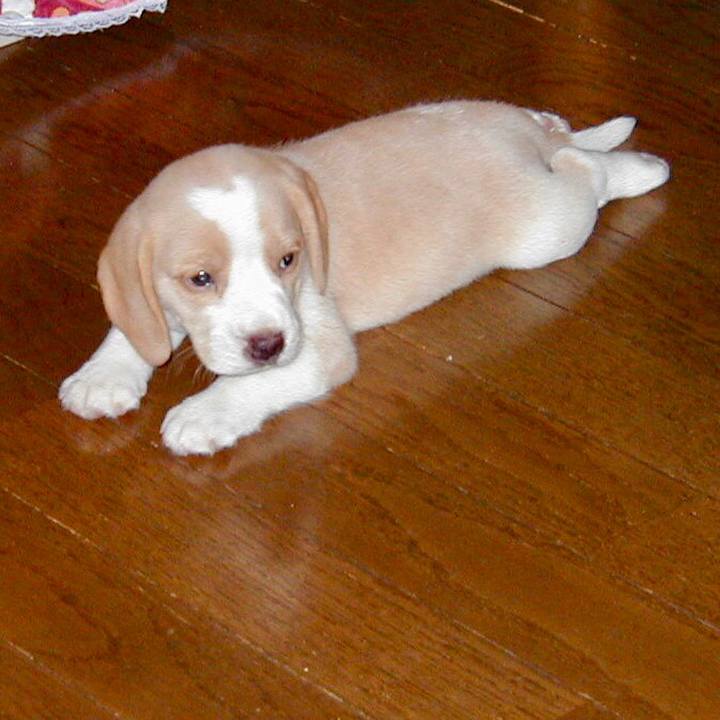 2be89fb1 3d72 4874 a281 4d59978bed34 1558343944142