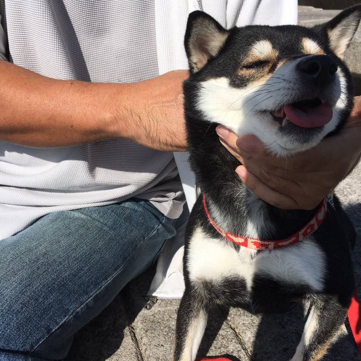 2be905da 6f14 4507 8187 b5fe78173701 1539180717382