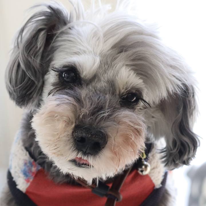 2be9141f bcbc 4718 b565 cd2b0b52c291 1763533411165