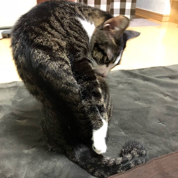 2be919df 170f 4bb4 b869 abc214c6e479 1520311415298