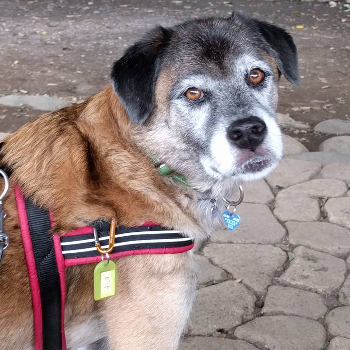 2be979e9 7c37 495e 935c e2fd509d3bfe 1538611583387