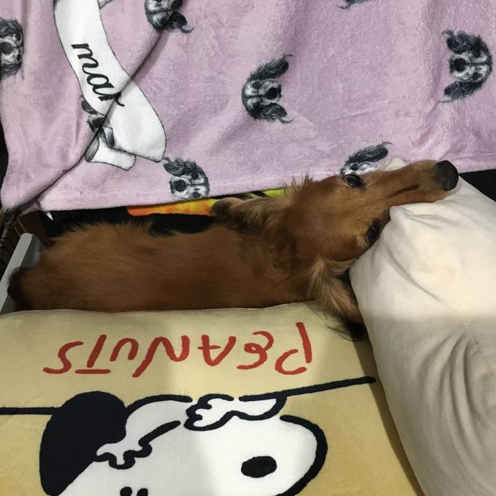 2be99441 d4ac 4681 bb71 b03383f69204 1594385853909