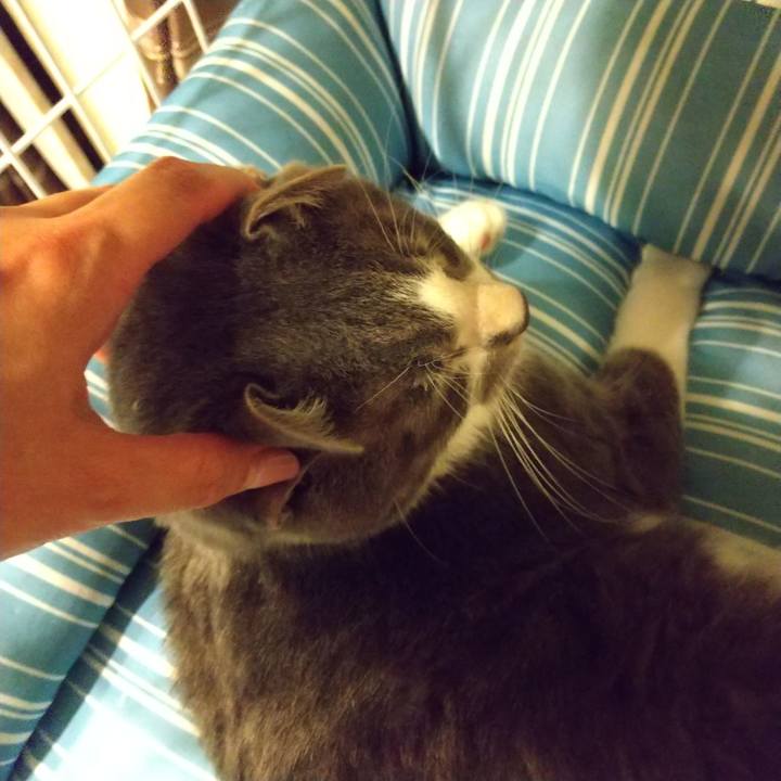 2be9c1c1 0d88 41b5 97ef 89723943a4a3 1596208389354