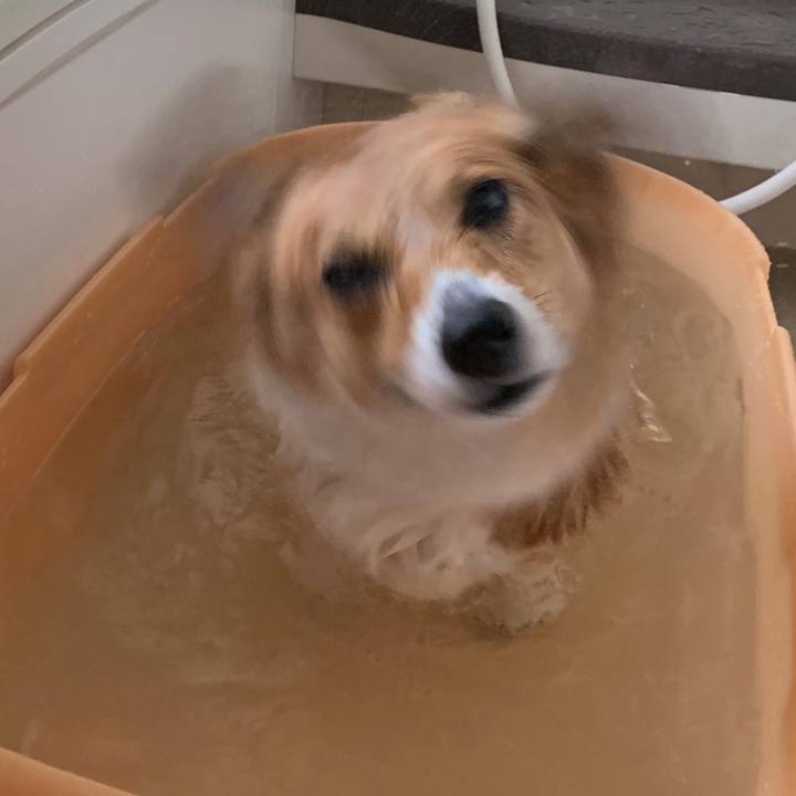 2be9d595 3791 4407 861c 2659d7494bba 1557463090992