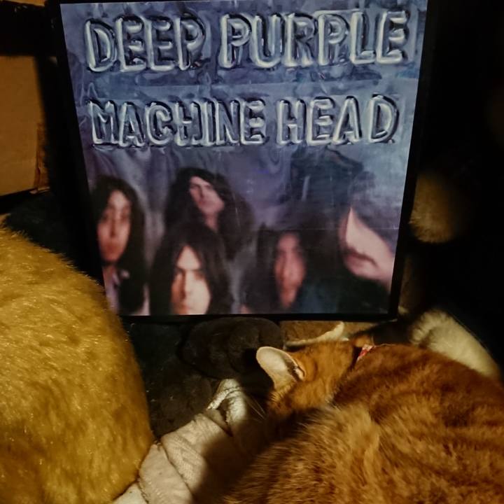 2be9d9ee 5d43 42ba 86f2 7e7816172069 1605090614511