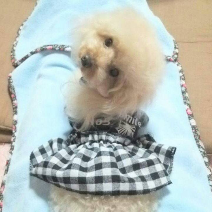 2be9f7bc d9d7 4315 9226 60c43b82a47b 1540605521543